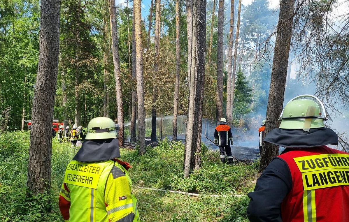 Brand Wald