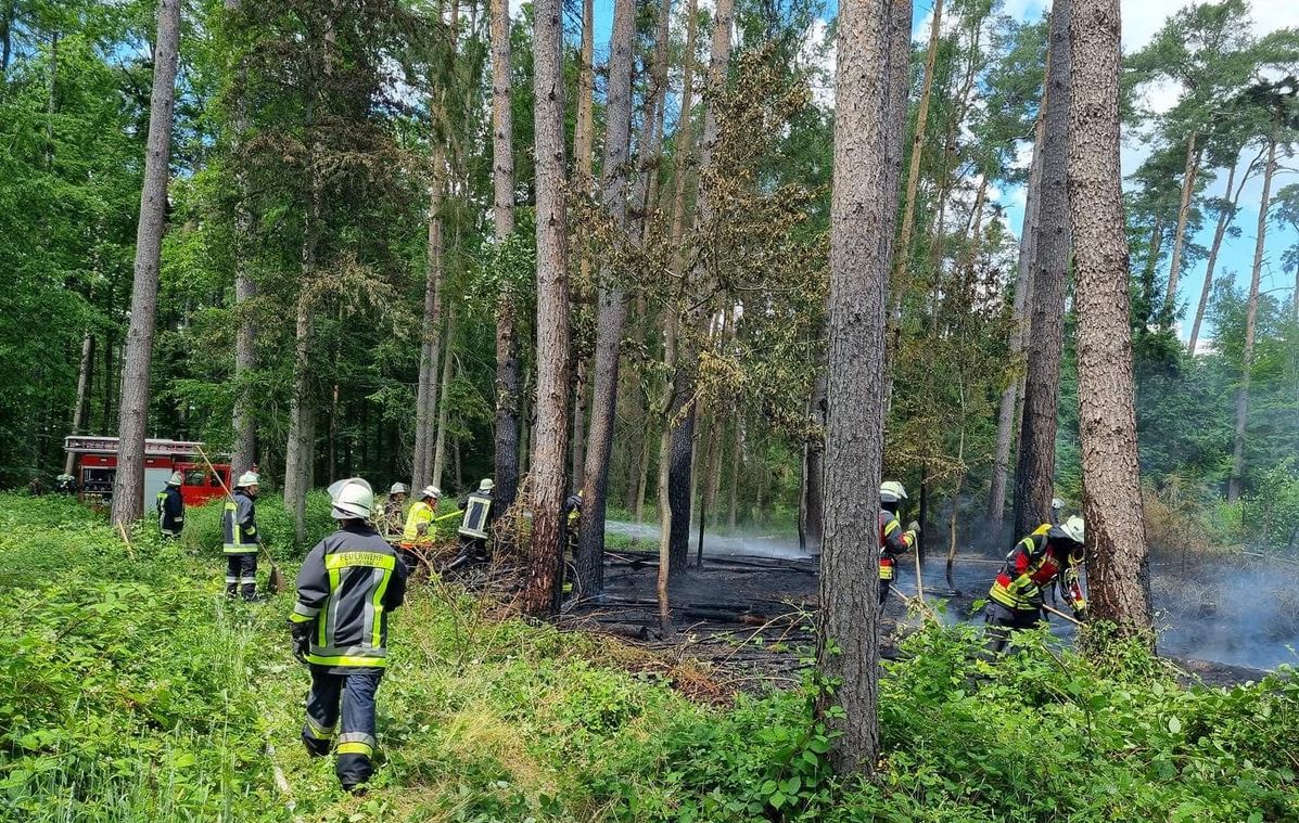 Brand Wald2