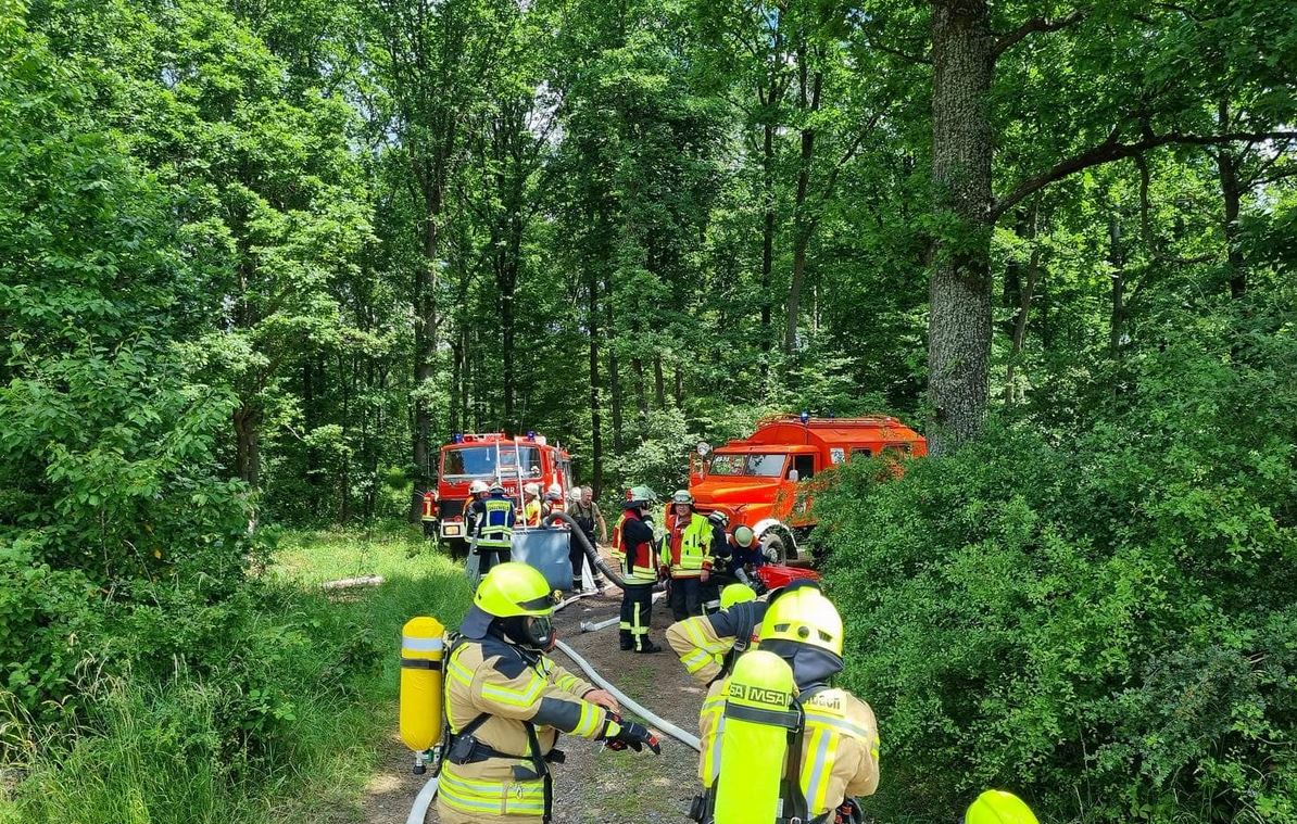 Brand Wald3